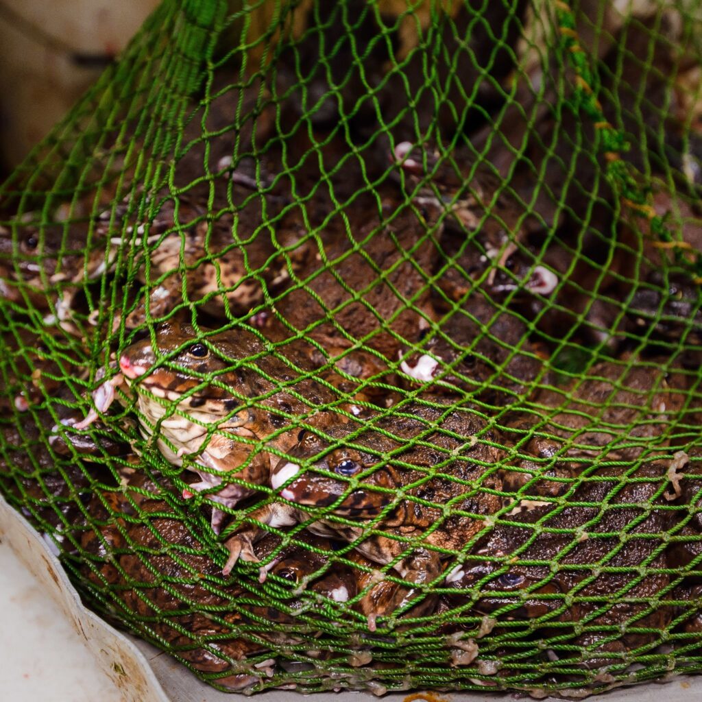 Bizarní Vietnam – aneb, co tě tu čeká a (ne)mine?