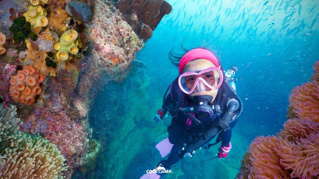 Blog - Potápění a freediver kurzy v Thajsku