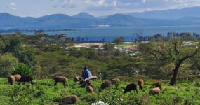 Keňa: Divočina i relax | Červen 2026