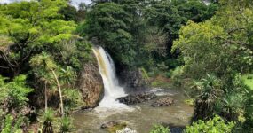 Keňa: Divočina i relax | Červen 2026