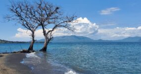 Keňa: Divočina i relax | Červen 2026