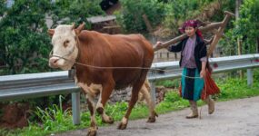 Vietnam: Na vlastní kůži | Duben 2026