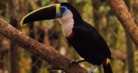 Autentická Kolumbie | Září 2026