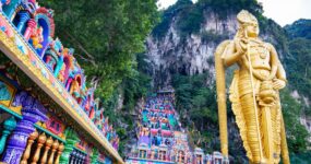 Borneo: Dotek divočiny