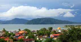 Borneo: Dotek divočiny