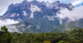 Borneo: Dotek divočiny