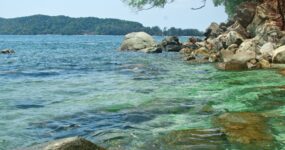 Borneo: Dotek divočiny