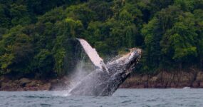 Autentická Kolumbie | Září 2026