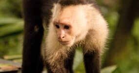 Autentická Kolumbie | Září 2026