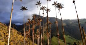 Autentická Kolumbie | Září 2026