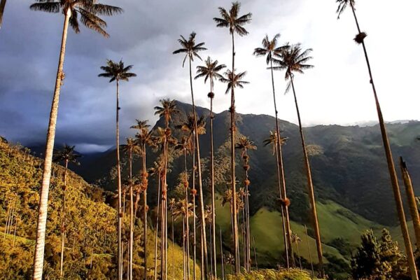 Zájezd - Autentická Kolumbie | Září 2026