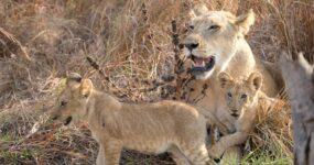 Tanzanie + Zanzibar | Na vlastní kůži