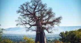 Tanzanie + Zanzibar | Na vlastní kůži
