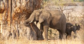 Tanzanie + Zanzibar | Na vlastní kůži