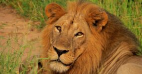 Tanzanie + Zanzibar | Na vlastní kůži
