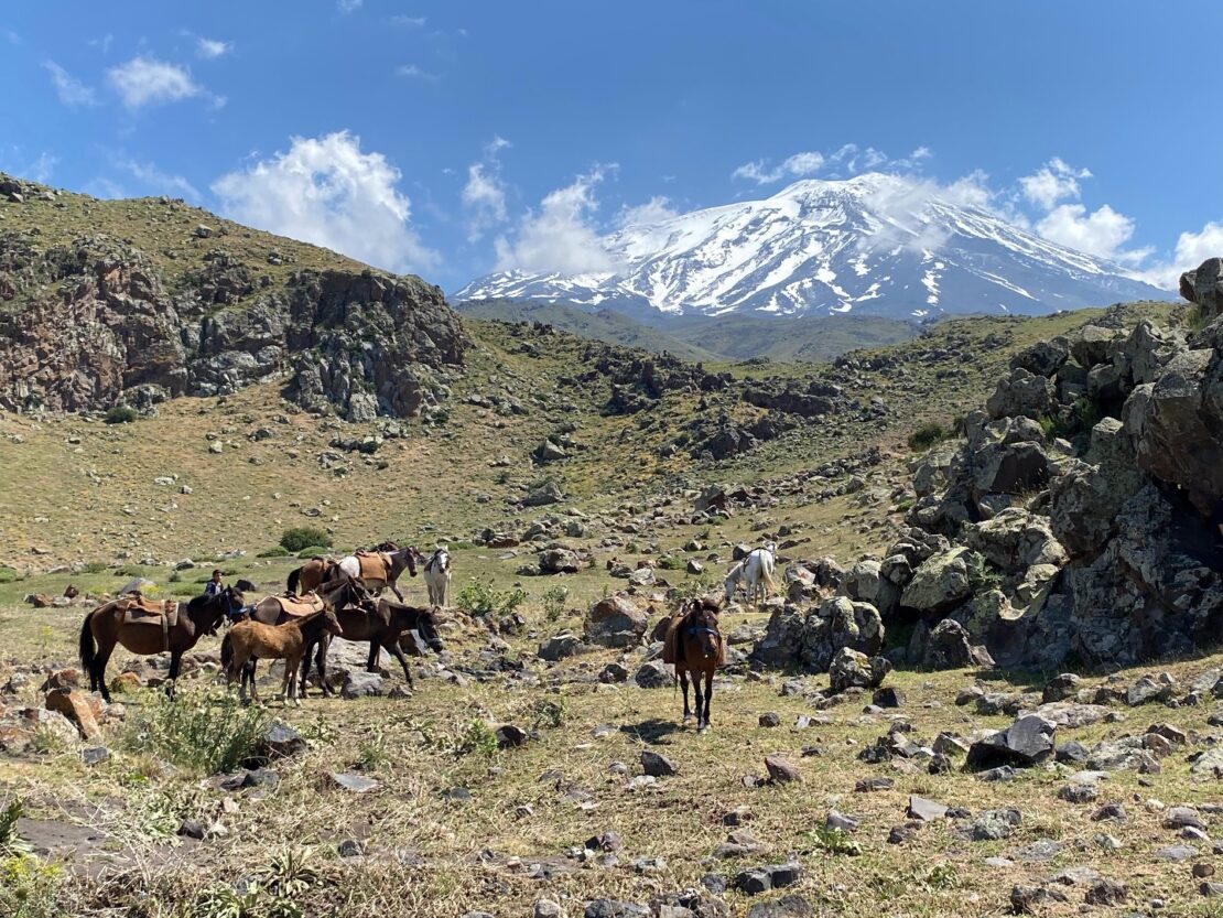Kebab a čaj, aneb Co si z Araratu odnesli naši ambasadoři?