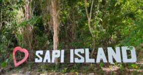 Borneo: Dotek divočiny