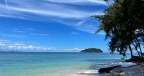 Borneo: Dotek divočiny