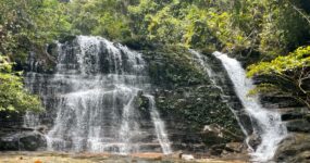 Borneo: Dotek divočiny