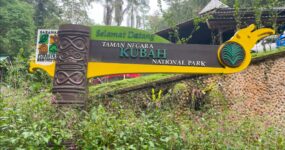 Borneo: Dotek divočiny