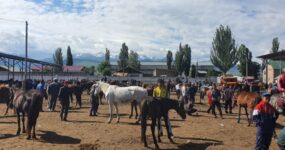 Kyrgyzstán: Na vlastní kůži | Srpen 2026