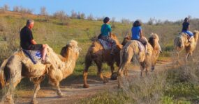 Uzbekistán + Tádžikistán: Na vlastní kůži