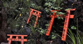 Japonsko: Na vlastní kůži | Září 2026