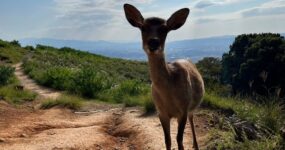 Japonsko: Na vlastní kůži | Září 2026