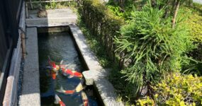 Japonsko: Na vlastní kůži | Září 2026