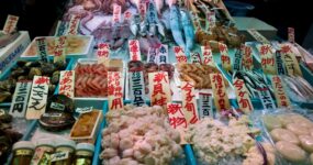 Japonsko: Na vlastní kůži | Září 2026