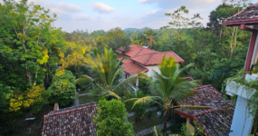 Srí Lanka: Od neprobádaného severu k plážím jihu | Červenec 2026