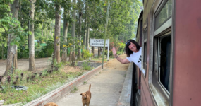 Srí Lanka: Od neprobádaného severu k plážím jihu | Červenec 2026