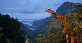 Srí Lanka: Dobrodružství a relax