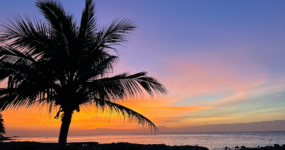 TUK-TUK Challenge | Srí Lanka