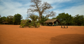 Senegal: Surf, safari a noc pod hvězdami