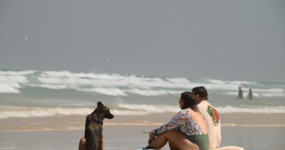 Senegal: Surf, safari a noc pod hvězdami