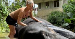 Srí Lanka: Dobrodružství a relax