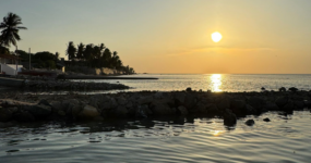 Srí Lanka: Od neprobádaného severu k plážím jihu | Červenec 2026