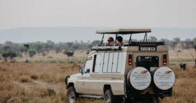 Kilimandžáro: Na vrchol Afriky - Chceš si pobyt prodloužit? 5 dní na SAFARI v Tanzanii