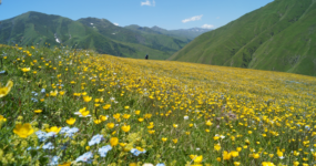 Gruzie: Výprava do srdce Thušska | Červenec 2026