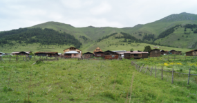 Gruzie: Výprava do srdce Thušska | Červenec 2026