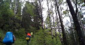 Gruzie: Výprava do srdce Thušska | Červenec 2026