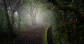 Madeira: Aktivní týden na ostrově | Duben 2026