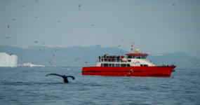 Grónsko: Dobrodružná cesta s profi fotografem | Srpen 2026