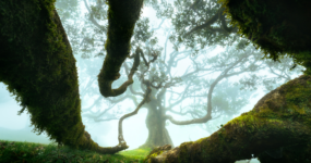 Madeira: Aktivní týden na ostrově | Duben 2026