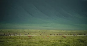 Kilimandžáro: Na vrchol Afriky