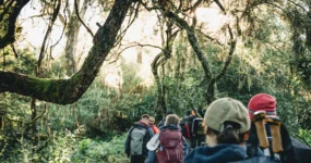 Kilimandžáro: Na vrchol Afriky