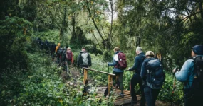 Kilimandžáro: Na vrchol Afriky