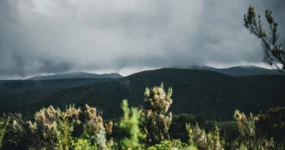 Kilimandžáro: Na vrchol Afriky