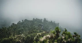 Kilimandžáro: Na vrchol Afriky